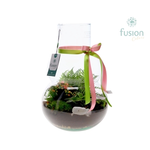 Green Bottle Olaf Large met arrangement