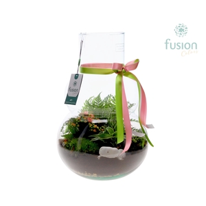 Green Bottle Olaf Large met arrangement