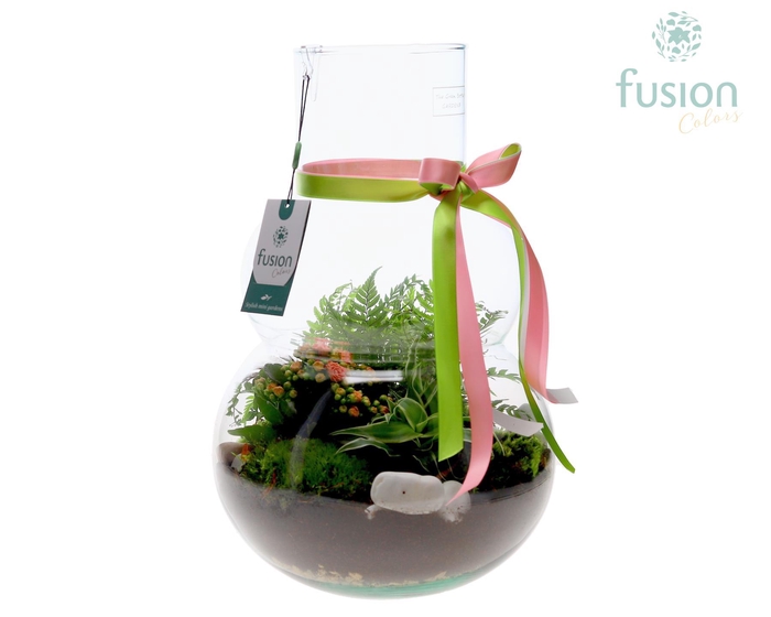 <h4>Green Bottle Olaf Large met arrangement</h4>