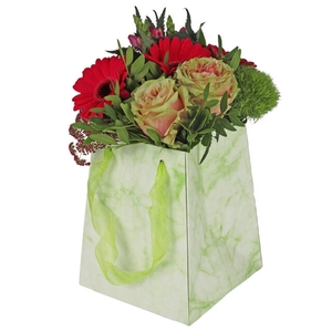 Bag Marble carton 12/12x15/15xH18cm green