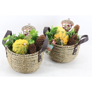 arr4 Sierfruit JS - Touwmandje handvat 338/3