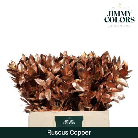 <h4>Ruscus L60 Mtlc. Copper</h4>