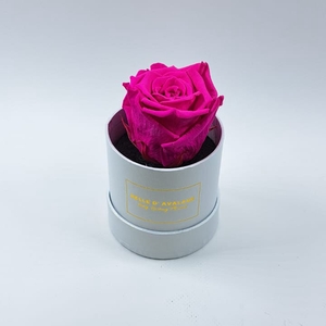 Box rd 8cm wit-fuchsia