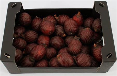 <h4>Dried Mauritia Natural</h4>