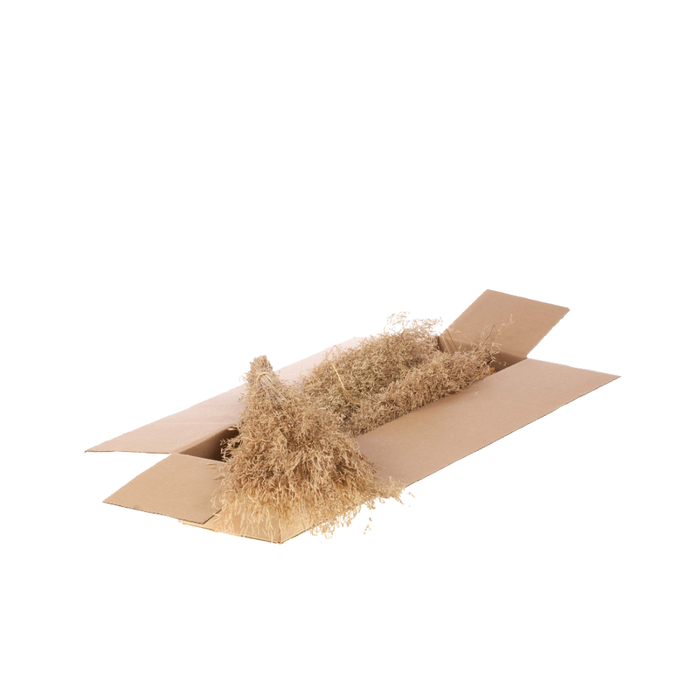 <h4>Munni Grass Sb Natural</h4>