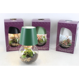 arr3 WR - Terrarium cosmolight x4