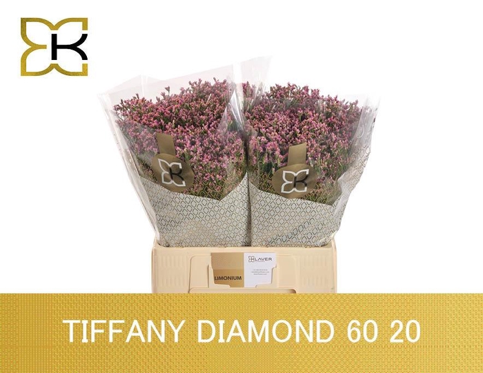 <h4>LIM SIN TIFFANY DIAM</h4>