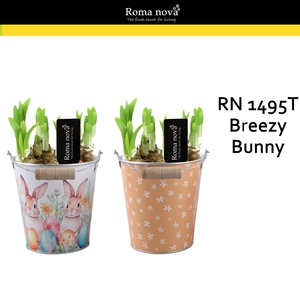 1495T - Breezy Bunny (Tete a Tete)