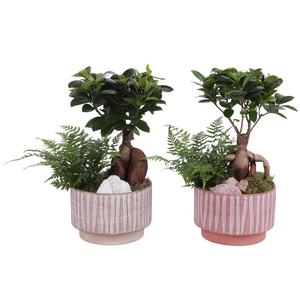 Yearround Arr. Indoor Ceramic Natural Touch NT667 Ø17cm 2PP