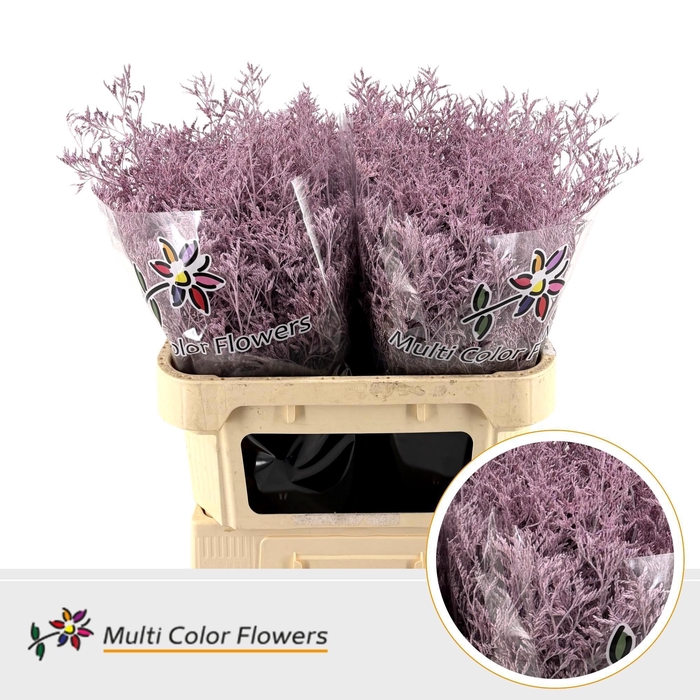 <h4>LIM OV KLB H%</h4>