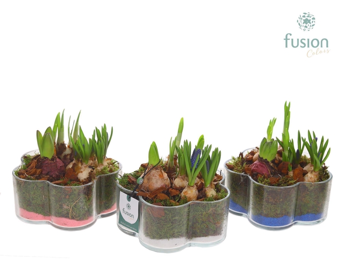 <h4>Glazen Bloemschaalmet Mixbol arrangement</h4>