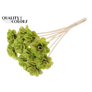 Beetal Rose 6cm on stem Wax Light Green