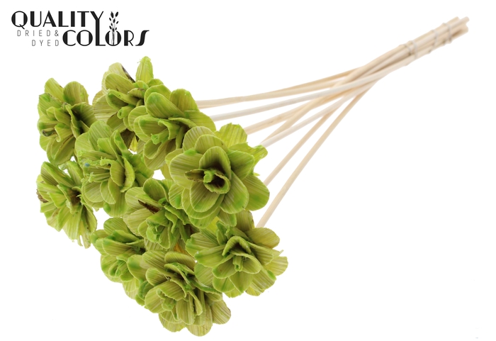 <h4>Beetal Rose 6cm on stem Wax Light Green</h4>