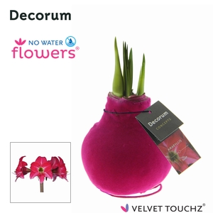 No Water Flowers Velvet Touchz® Neon Pink (Decorum)