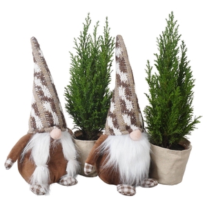 PTK25185 Ellwoodii in stoffen gnoom