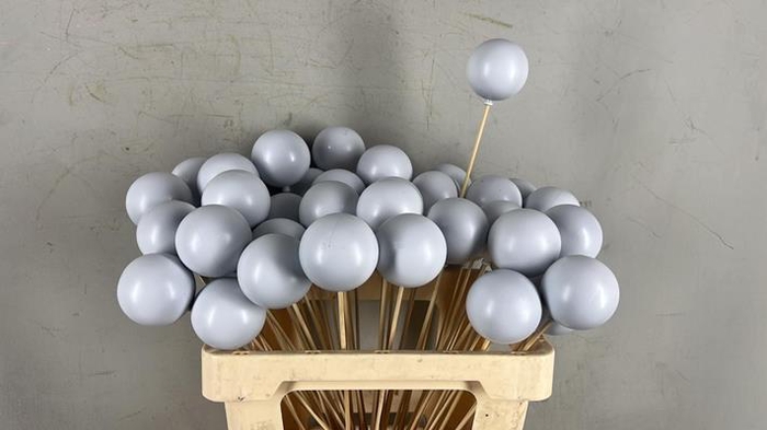 <h4>Stick Ball C. Ø6 White Pearl</h4>