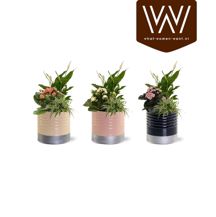 <h4>Collectie 'Bubbeles and wine' Arrangement in Zink Nola</h4>