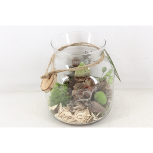 arr4 Amaryllis MB - Glas bose 285/6