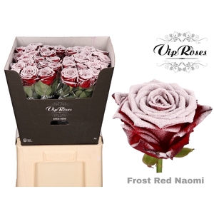 R Gr Vip Frost Red Naomi