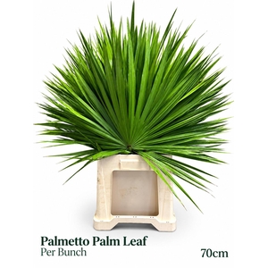 SABAL PALMETTO