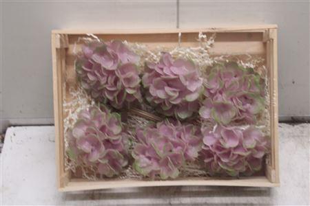 <h4>Wax Hydrangea Light Rosa</h4>