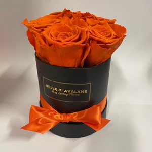 Box rd 12cm zwart-oranje