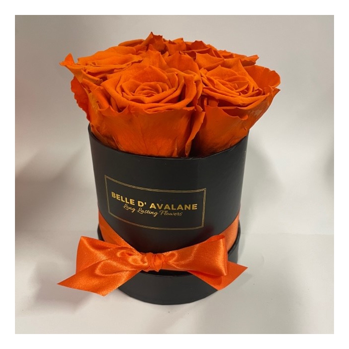 <h4>Box rd 12cm zwart-oranje</h4>