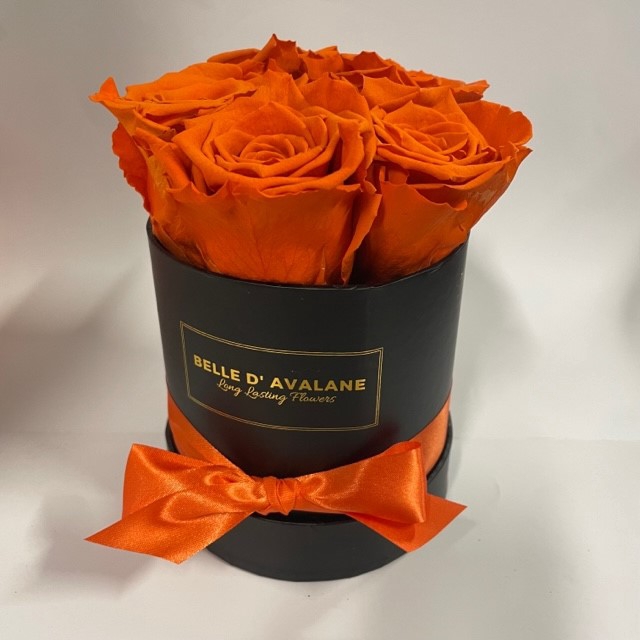 Box rd 12cm zwart-oranje