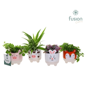 Boerderijdieren keramiek met Groene planten mix