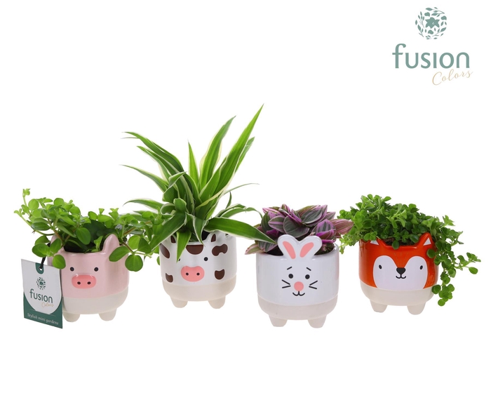 <h4>Boerderijdieren keramiek met Groene planten mix</h4>