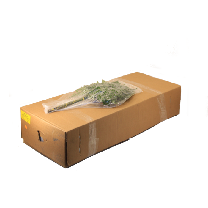 LEDERVAREN EXTRA VACUUM C.RICAN