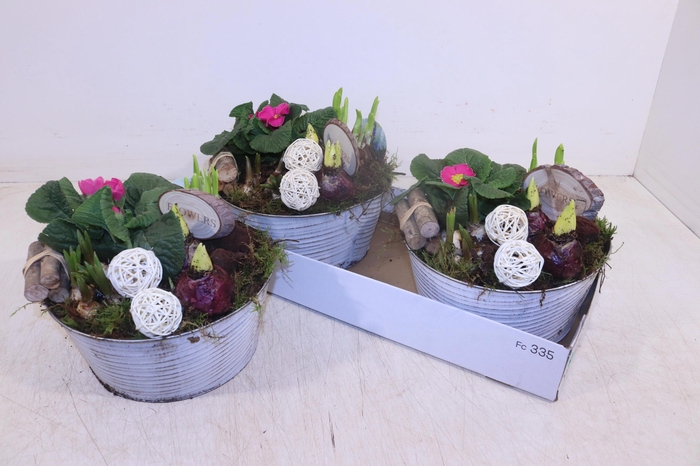 <h4>ARR TUINPLANTEN</h4>