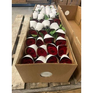 30cm Stems Bulk Red02