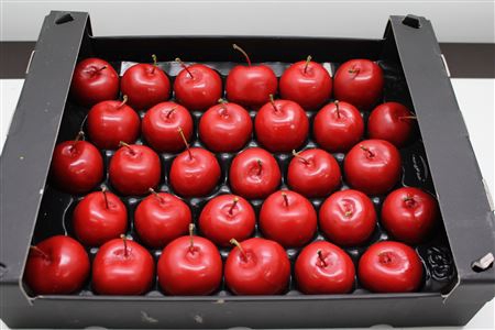 <h4>Waxappel Kerst Rood</h4>