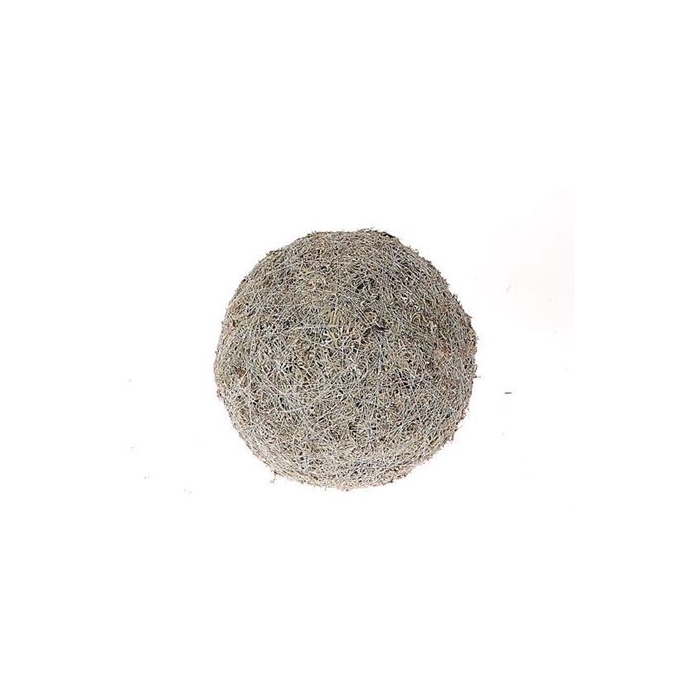 <h4>Ball Lichen Moss D20</h4>