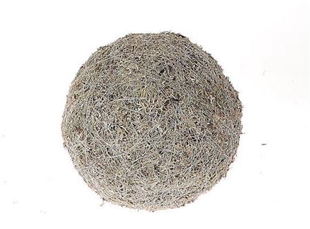 <h4>Ball Lichen Moss D20</h4>