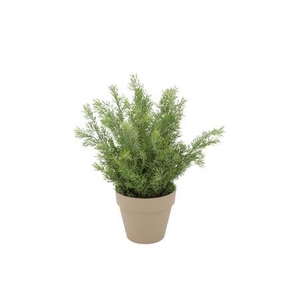 Silk Cypress Green In Pot Terra M 23x23x31cm