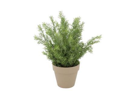 <h4>Silk Cypress Green In Pot Terra M 23x23x31cm</h4>