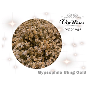 Gyps Pa Vip Bling Gold