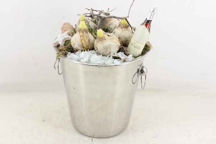 <h4>arr4 Hyacint MB - Champange koeler 968/2</h4>