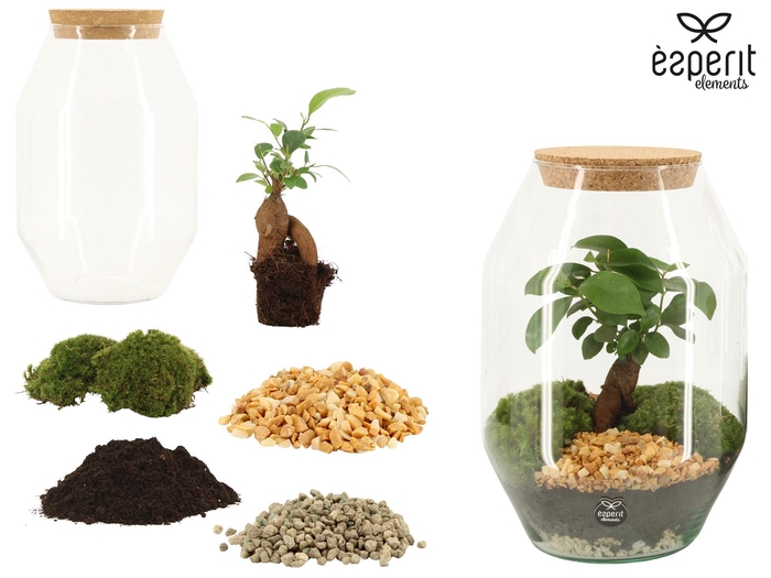 <h4>90864: DIY Terrarium Large Diamond D17 / H25</h4>