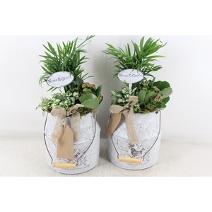 arr2 TD - Zink melkbus - roze