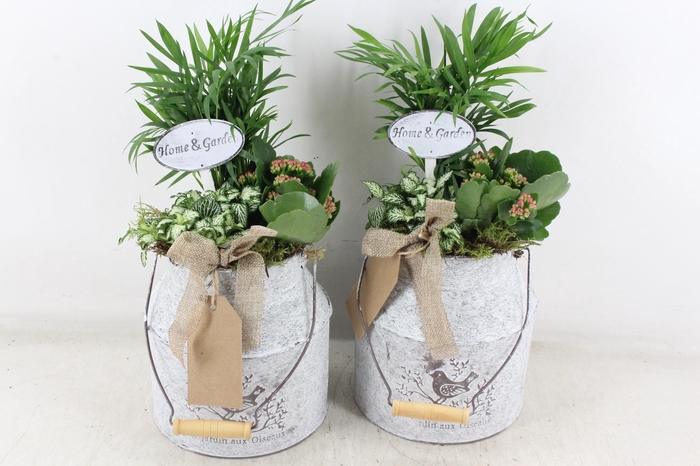 <h4>arr2 TD - Zink melkbus - roze</h4>