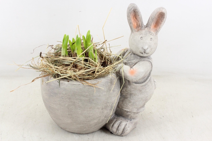 <h4>arr4 Narcis PL - Keramiek Paashaas</h4>