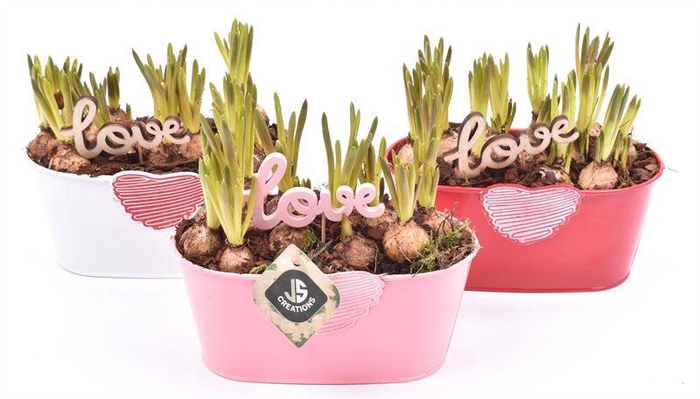 <h4>Zink met hart mix 19x10cm</h4>