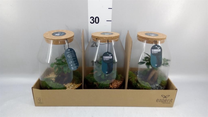 <h4>Arr. Planten H%</h4>
