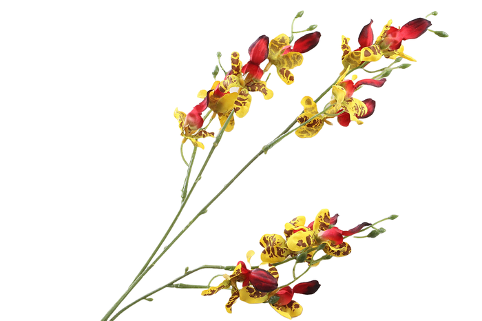 <h4>Orchid Oncidium Yellow FL440095YEL</h4>