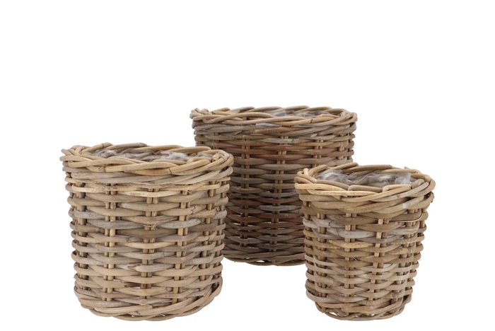 <h4>Rattan Ivy Natural Cilinder Set 3 17x17/23x20/27x23cm</h4>