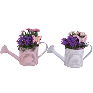 Spring Flower Arr. Outdoor Zinc Wateringcan Vintage Ø31cm 2PP