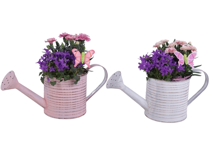 <h4>Spring Flower Arr. Outdoor Zinc Wateringcan Vintage Ø31cm 2PP</h4>
